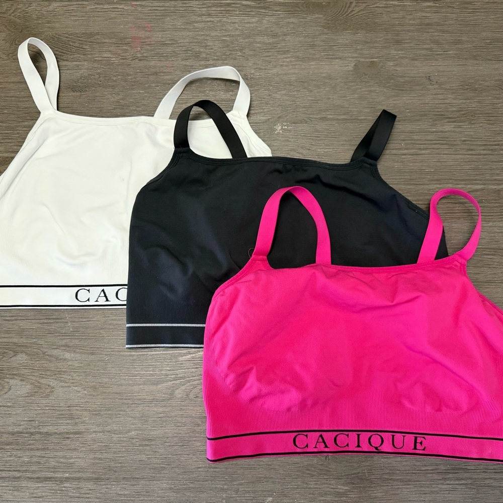 Cacique Bralettes